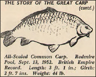 The Story Of The Great Carp